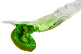 Kiwi im Wasser.jpg
