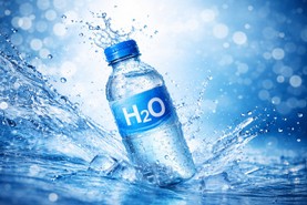 Wasser H2O Flasche 1.jpg