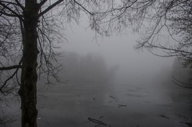 nebel-7.jpg